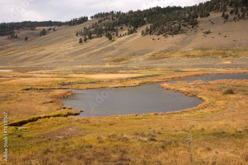 Yellowstone National Park, USA