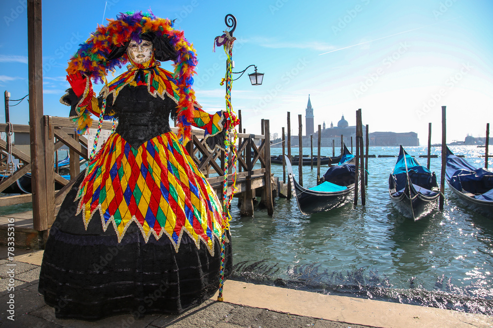 Naklejka premium carnaval de Venise