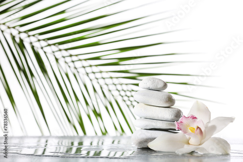 Fototapeta Naklejka Na Ścianę i Meble -  Still life of spa stones on wet glossy surface isolated on