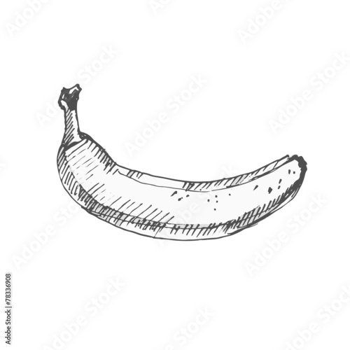 Banana. Sketch on white background.