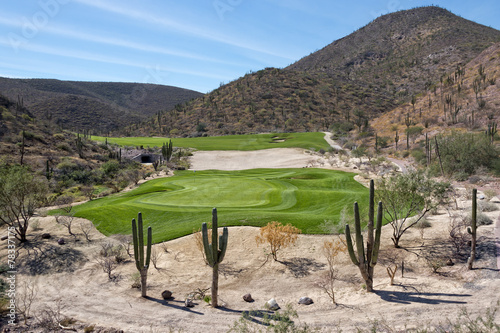 desert golf course green