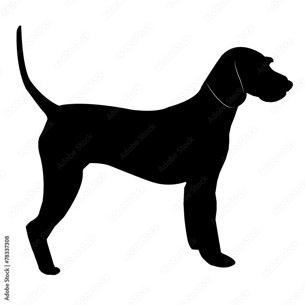 Dog silhouette Dog silhouette
