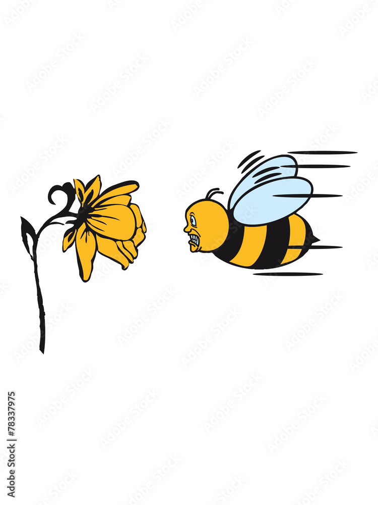 Bee fly fright funny - obrazy, fototapety, plakaty 