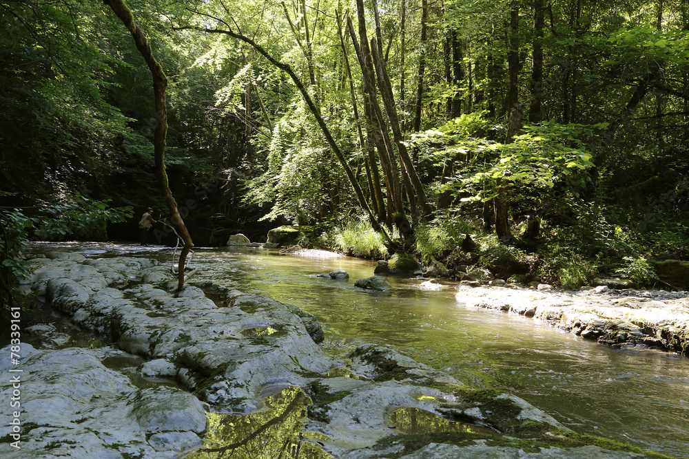 Obraz premium Rivière