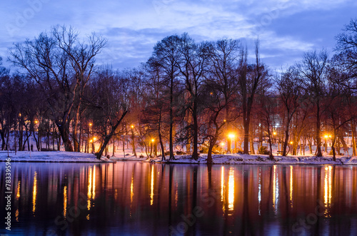 Night scene in park. Trees reflecting in water at dawn
