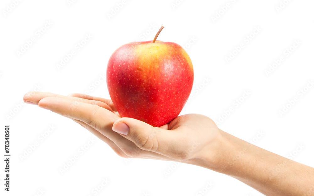 hand holding apple isolated on white background hand holding apple isolated on white background