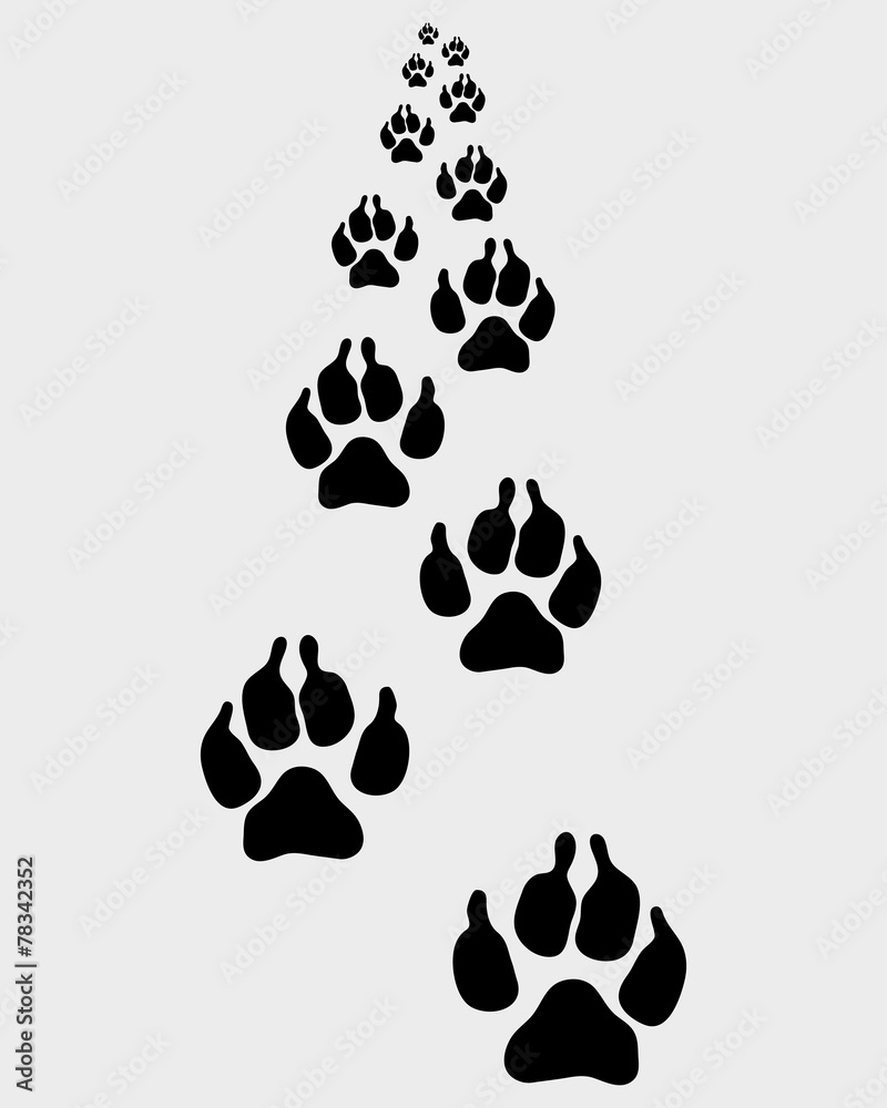 Fototapeta premium Black trail of dog, forward, vector illustration