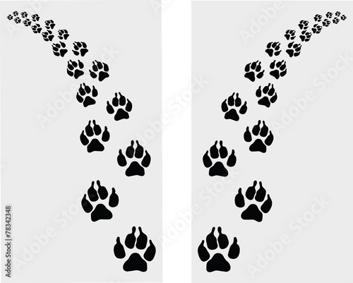 Trail left and right of footstep of dog, vector
