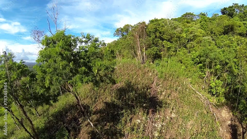 Aerial view on jungle at Philippines Aerial view on jungle at Philippines