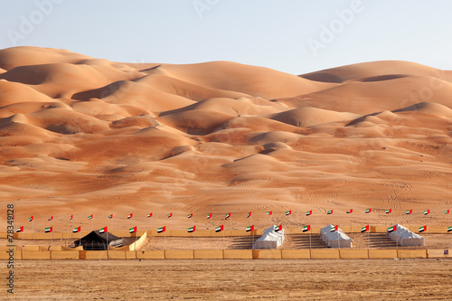 The Moreeb dunes at the Liwa Oasis, UAE photo