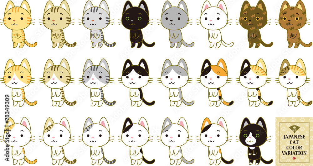 日本猫 毛色 種類 Stock Illustration Adobe Stock