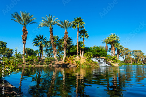 Palm trees on side of lake with reflection © Frank Fennema