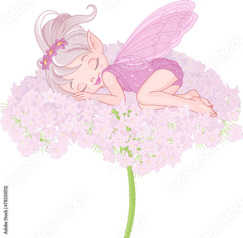 Fototapeta Sleeping Pixy Fairy