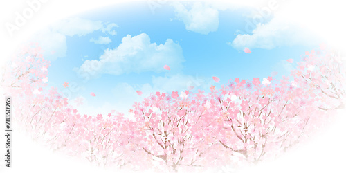 桜　空　背景