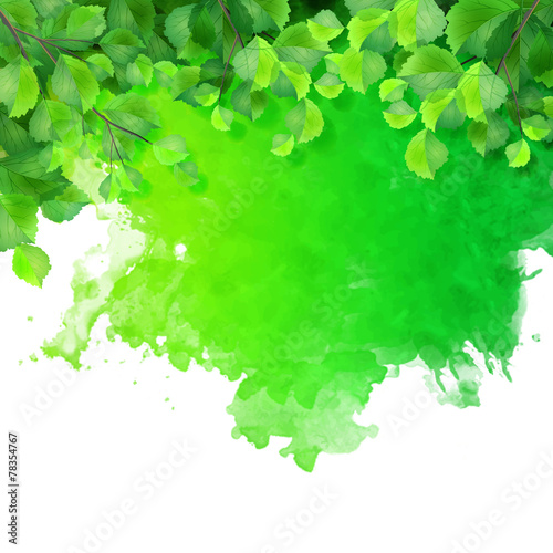 Vector watercolor spot with green leaves