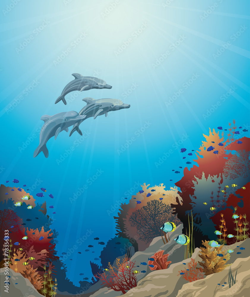 Naklejka premium Dolphins and coral reef, underwater vector.