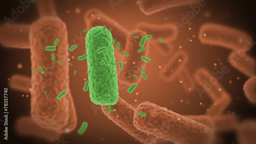red Bacteries X-Ray.