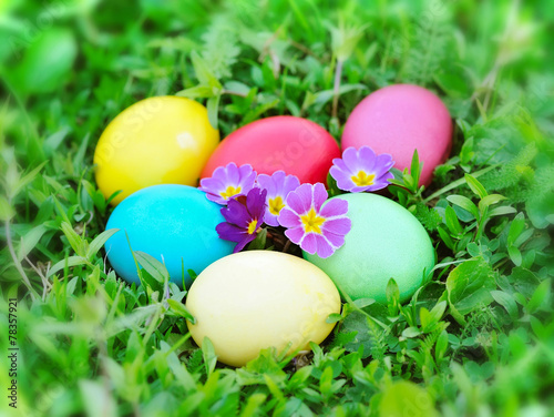 Colored easter eggs on green grass