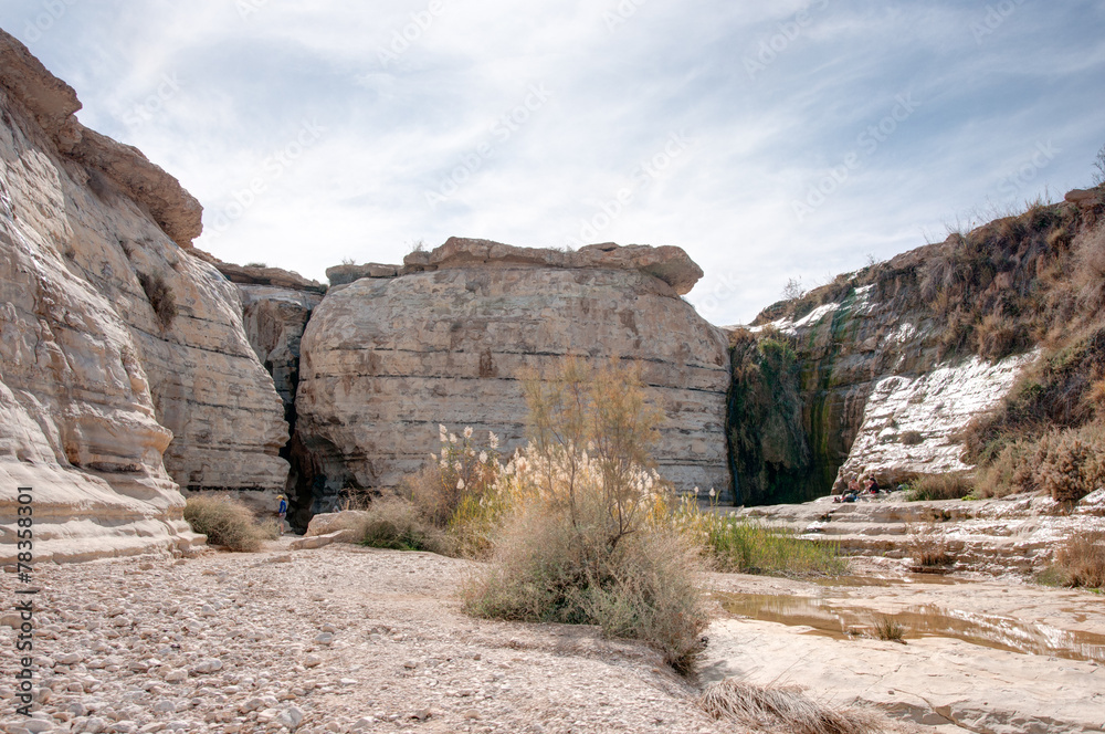 Fototapeta premium Water spring in a desert