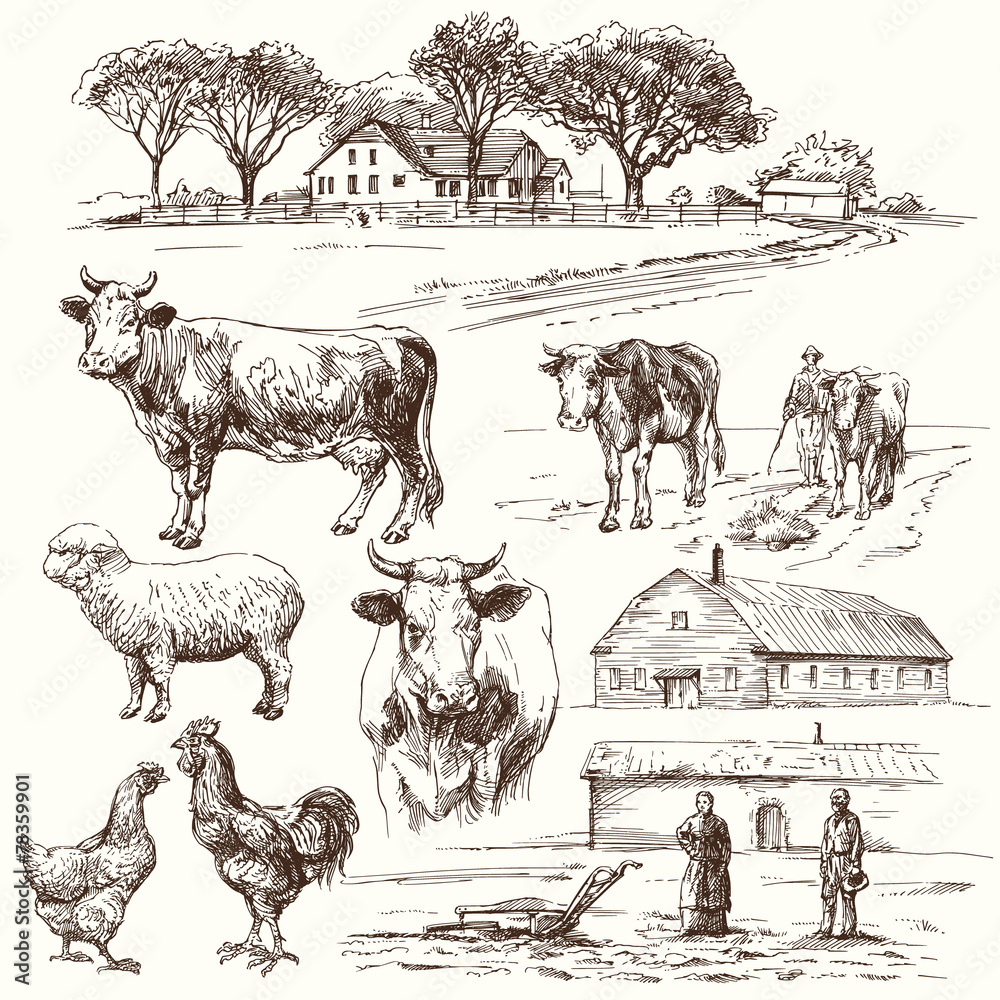 farm, cow, agriculture - hand drawn collection - obrazy, fototapety, plakaty 