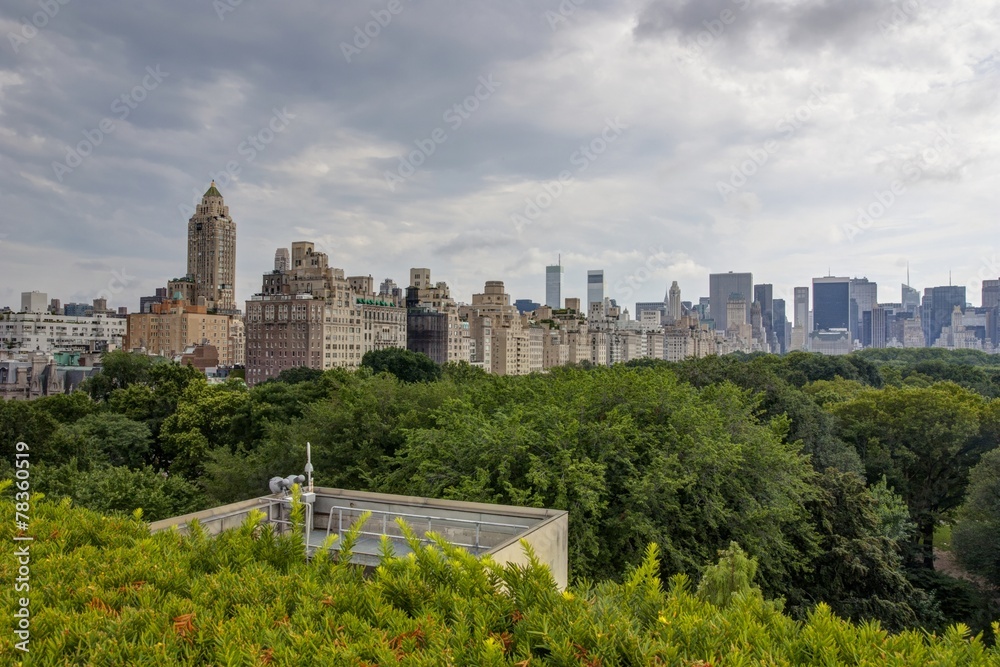 Fototapeta premium New York - Panorama da Central Park