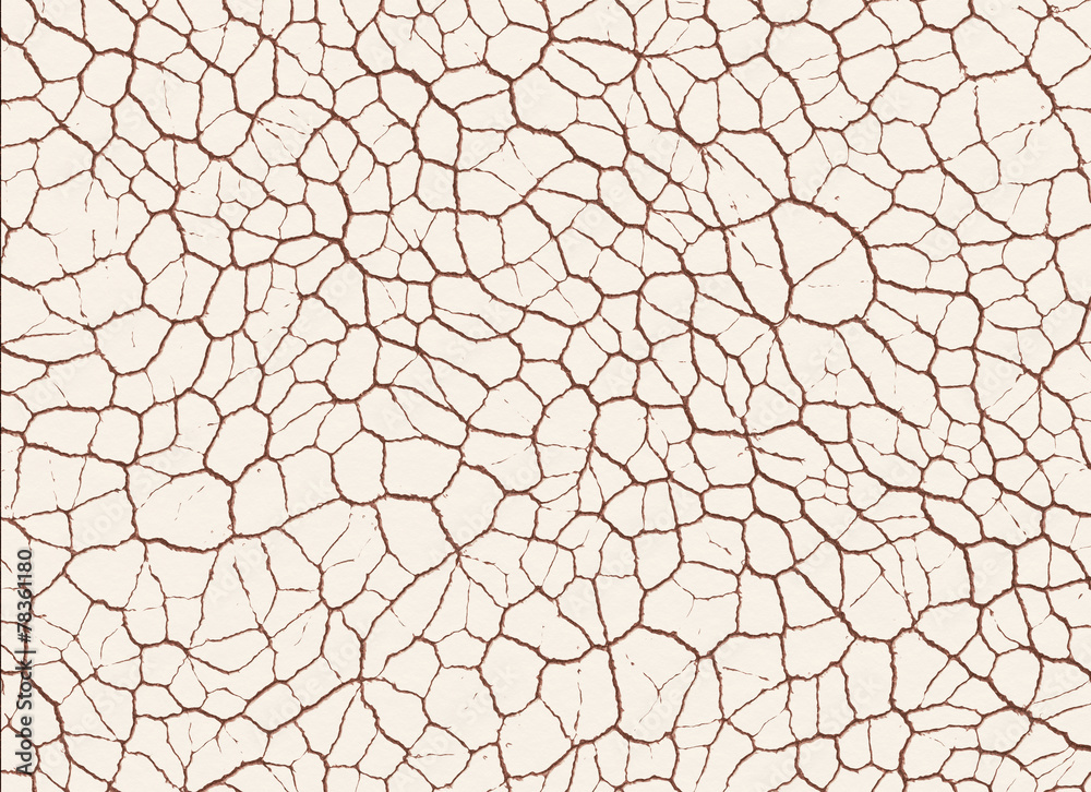 dry cracked ground texture. abstract relief pattern dry cracked ground texture. abstract relief pattern