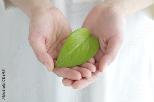 葉を持つ女性の手