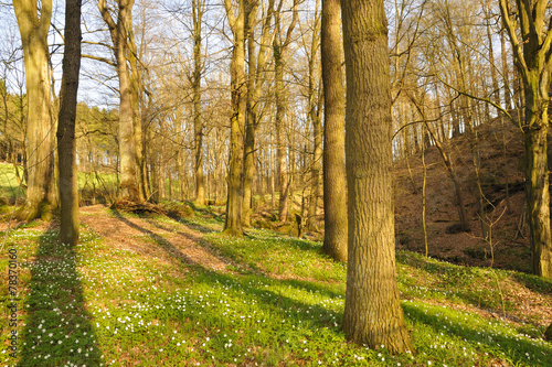 Frühling