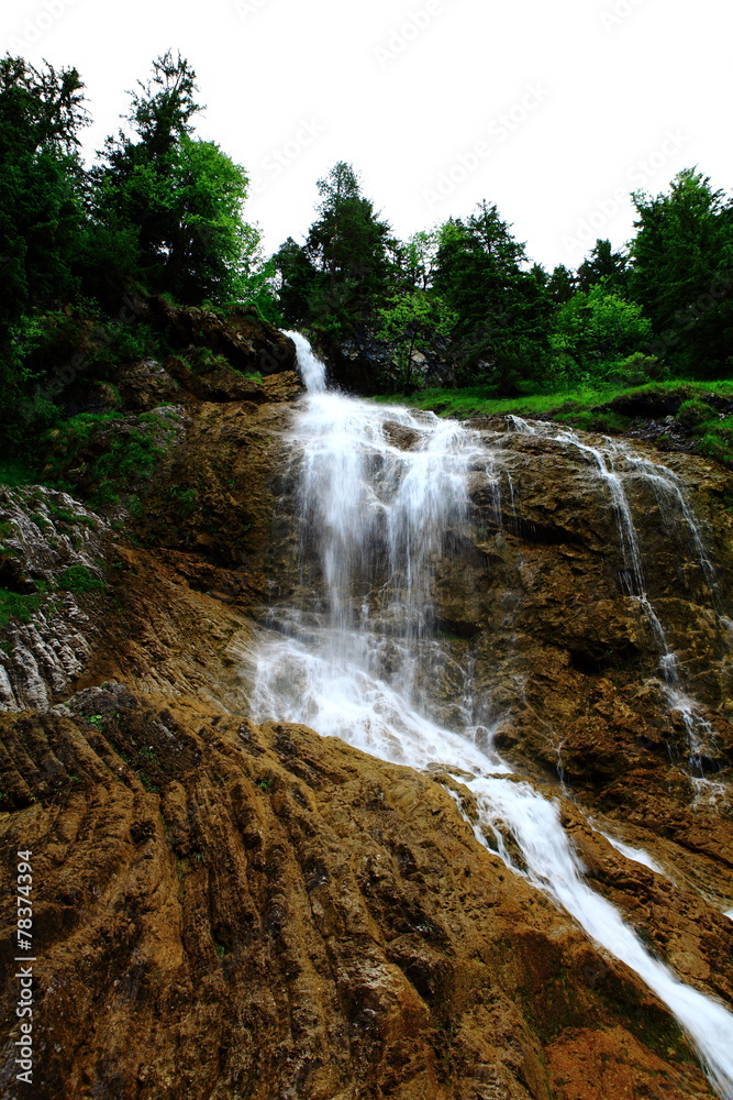 Fototapeta premium Wildbach an der Quelle
