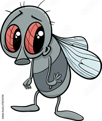 cute fly cartoon illustration