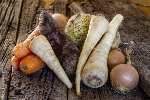 Wintergemüse Wurzelgemüse
