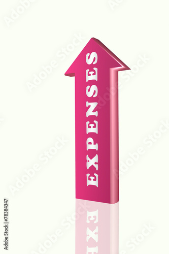 3D arrow with expenses word.