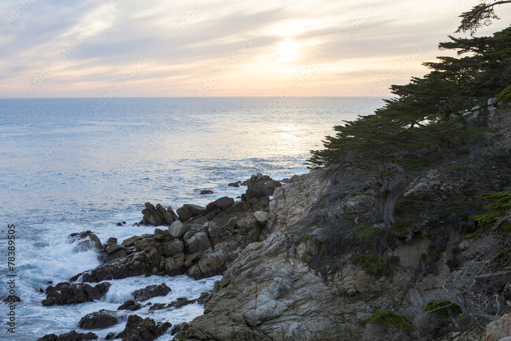 coastline with cliffs and pine tree coastline with cliffs and pine tree