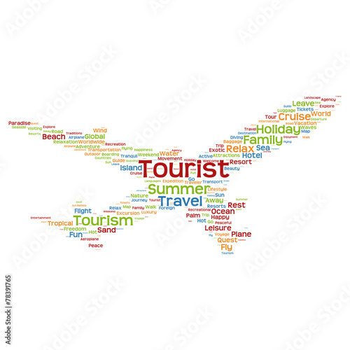 Vector conceptual travel or tourism plane word cloud