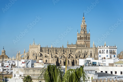 The Giralda in Seville, Andalusia, Spain. photo