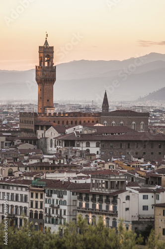 The Palazzo Vecchio  the town hall of Florence  Italy.