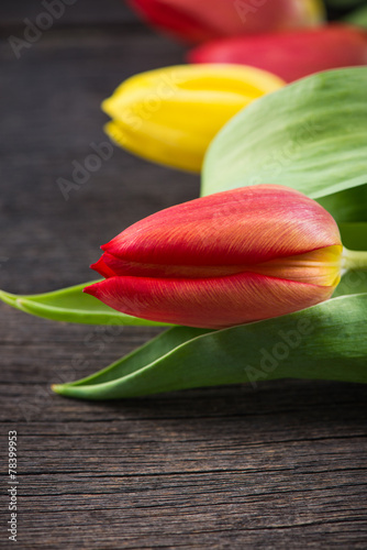 Fresh spring tulips on wooden rustic table