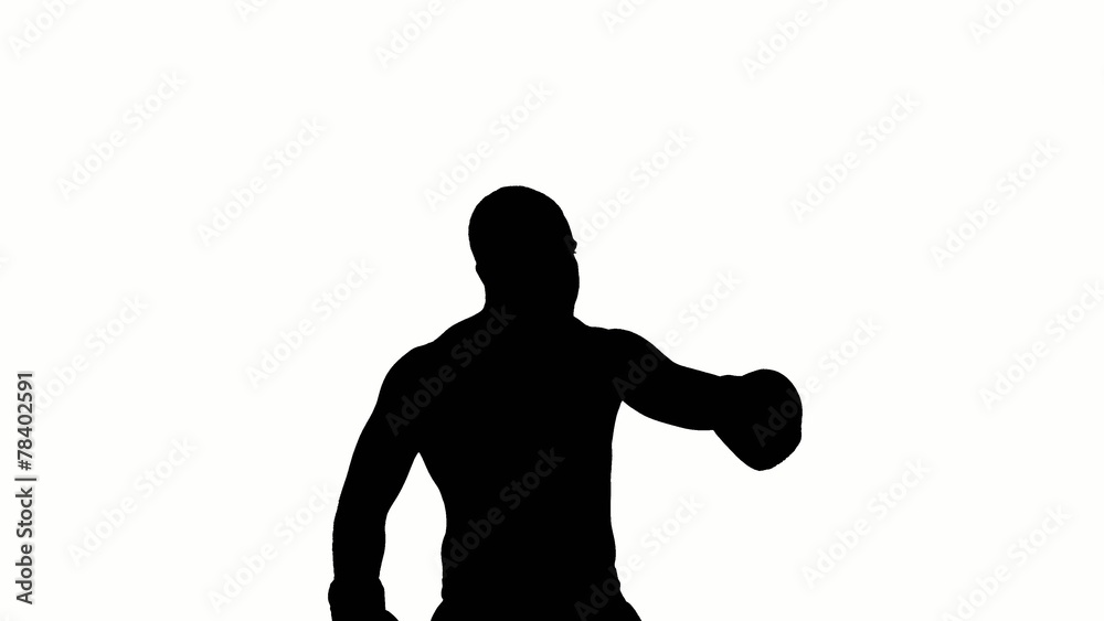 Boxer winner silhouette on white background