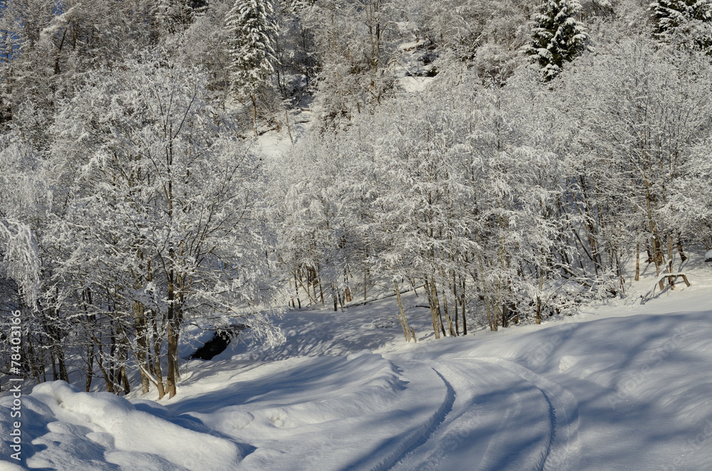 Obraz premium strada innevata
