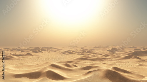 砂漠 photo