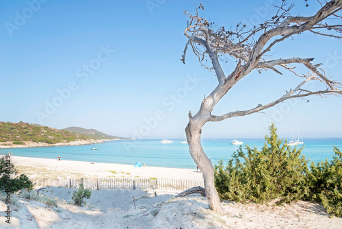 Fototapeta Naklejka Na Ścianę i Meble -  Plage de Saleccia the most beautiful beach of Corsica, France