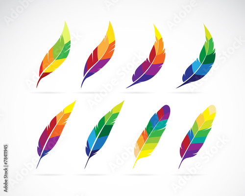 Vector group of an feathers design