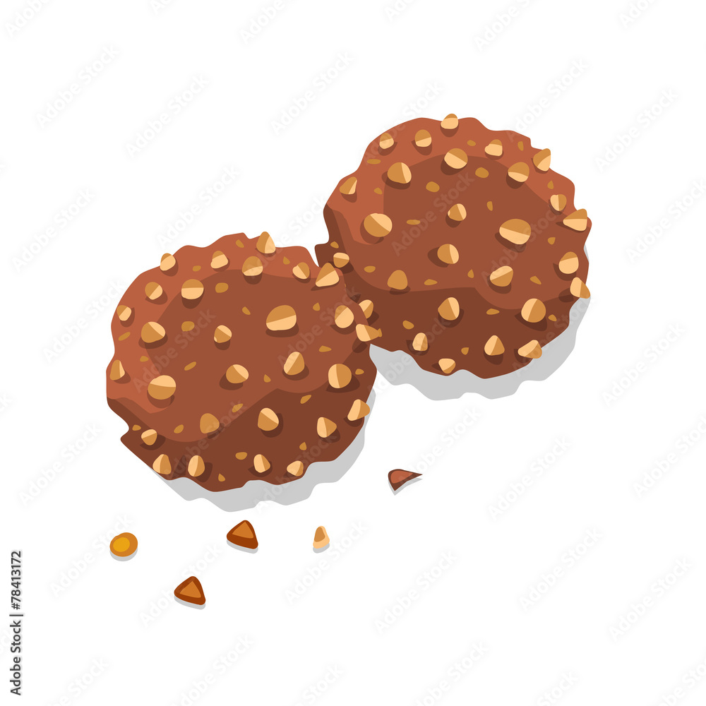 cookie chocolate isolated illustration cookie chocolate isolated illustration