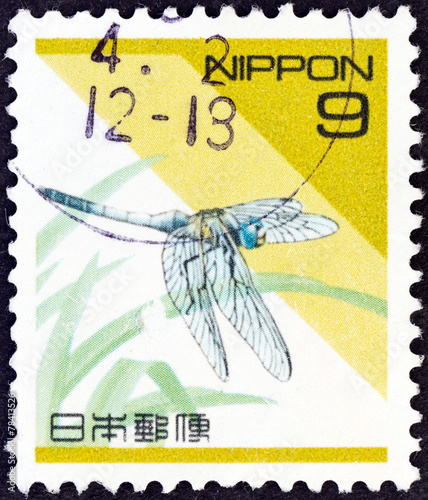 Dragonfly, Orthetrum albistylum (Japan 1992) photo