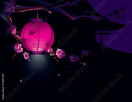 Sakura and paper lantern