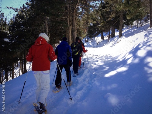 Raquetas de nieve photo