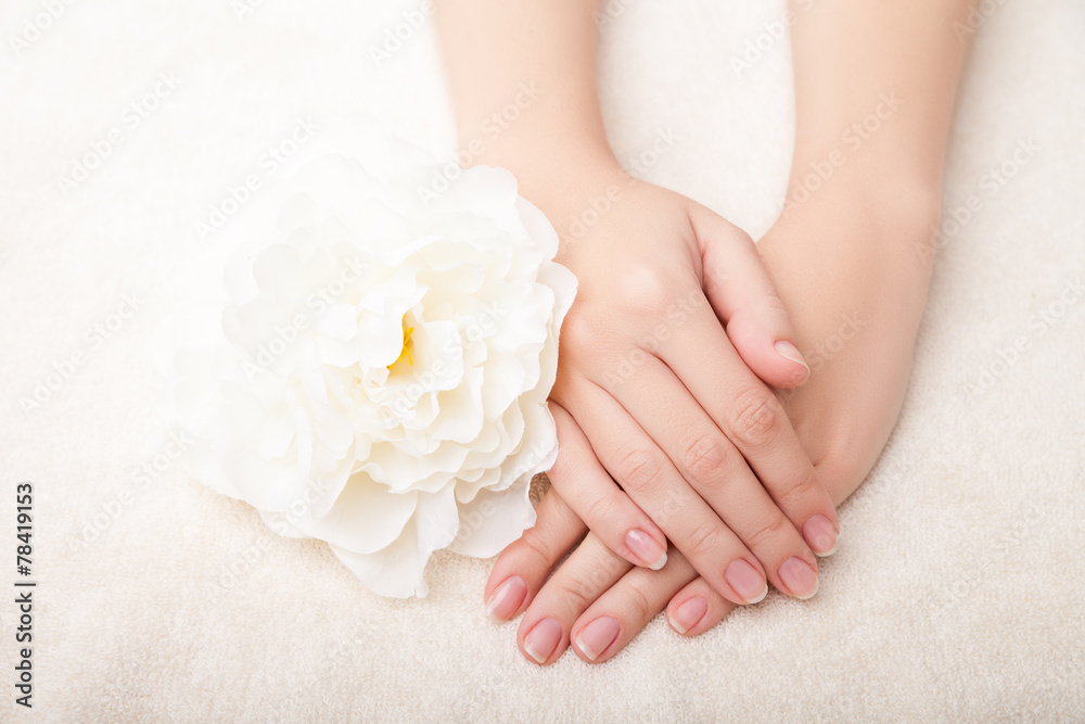 Beautiful woman hands and  flower over white background