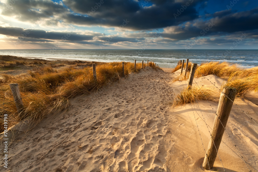 sand path to North sea beach - obrazy, fototapety, plakaty 