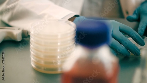 Inoculation of bacteria in a petri dish