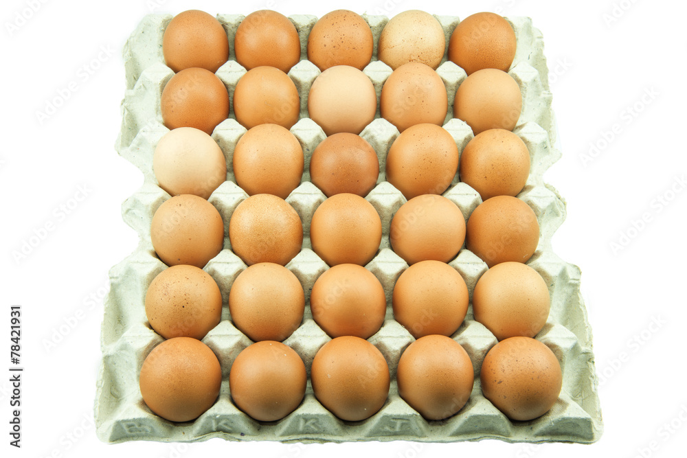Eggs in paper tray isolated on white Background. Eggs in paper tray isolated on white Background.